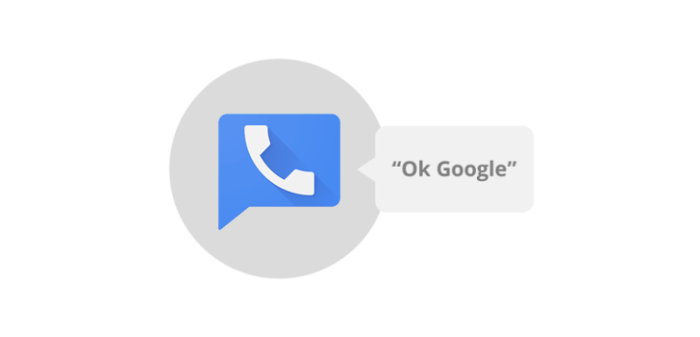 download google voice for pc